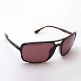 Ray-Ban Polarized Sunglasses Ray-Ban RB4375 710BC