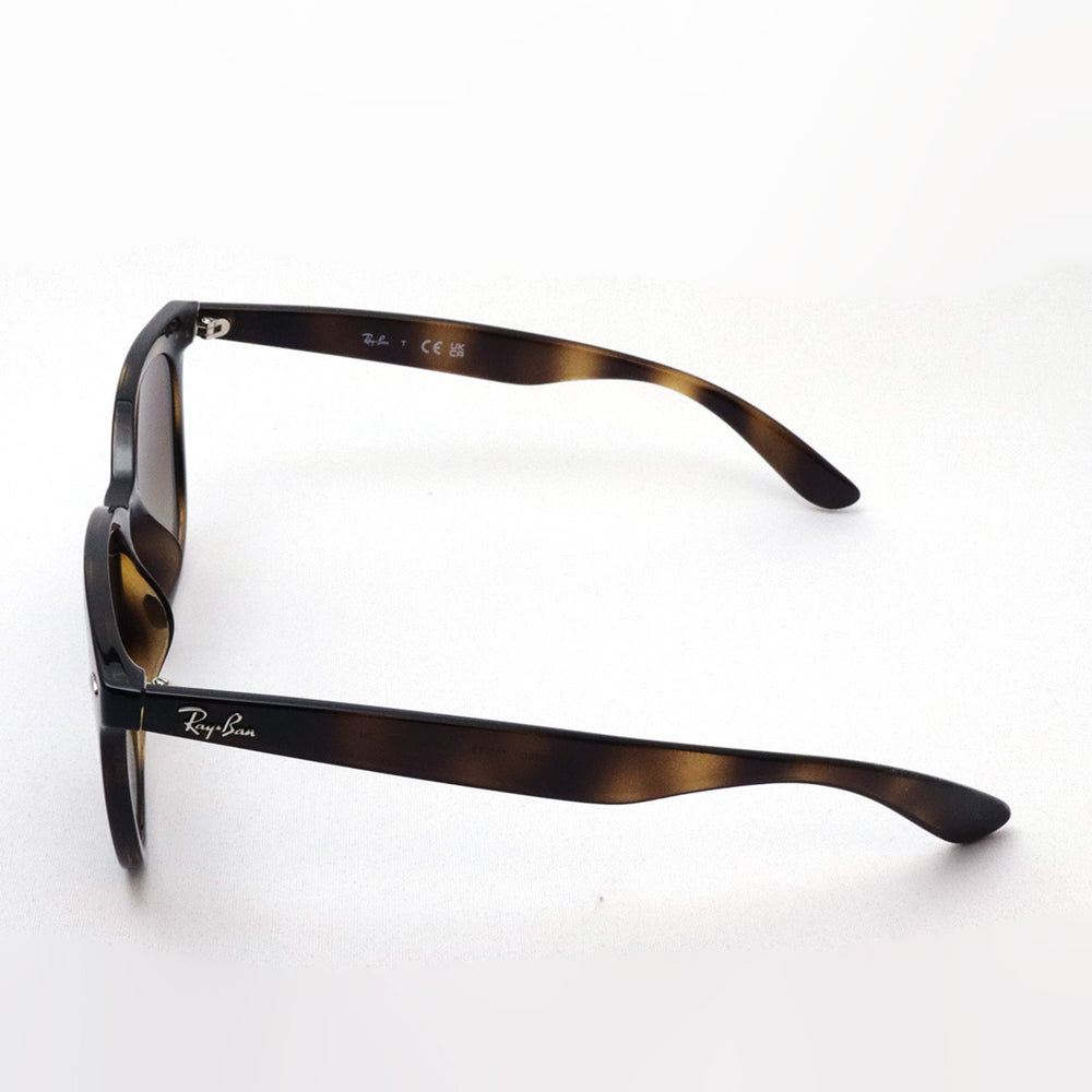 レイバン サングラス Ray-Ban RB4379D 71013 – GLASSMANIA