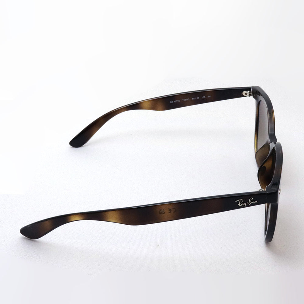 RayBan レイバン　サングラス RB4379D rb4379d71013_1_1000x.jpg?v=