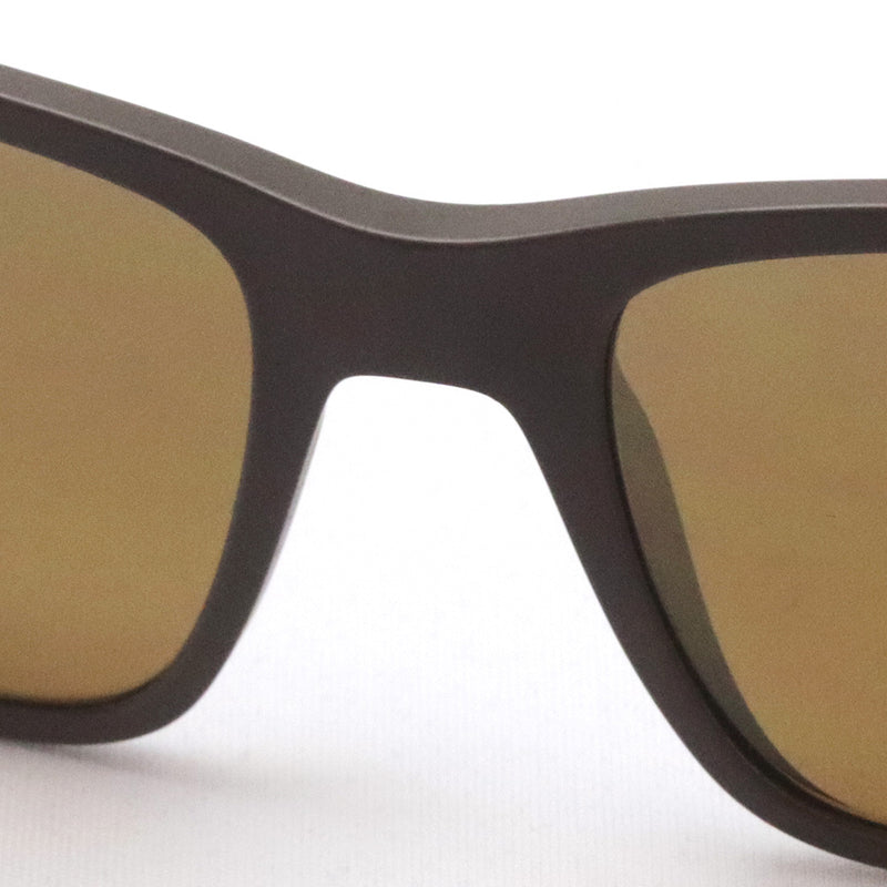 Gafas de sol polarizadas de Ray-Ban Ray-Ban RB4385 6124A3