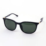 Ray-Ban太阳镜Ray-Ban RB4386F 60131