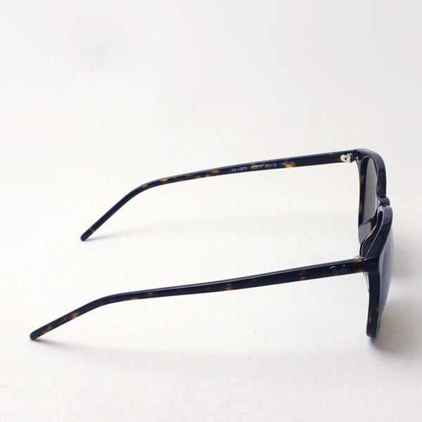 レイバン サングラス Ray-Ban RB4387F 90273 – GLASSMANIA -TOKYO AOYAMA-