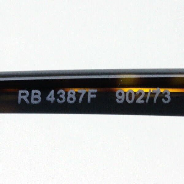 レイバン サングラス Ray-Ban RB4387F 90273 – GLASSMANIA -TOKYO AOYAMA-