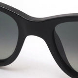 Ray-Ban Sunglasses Ray-Ban RB4388 60171