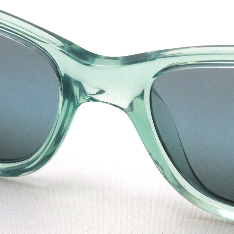 レイバン 偏光サングラス Ray-Ban RB4388 6646G6 – GLASSMANIA -TOKYO