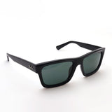 Ray-Ban太阳镜Ray-Ban RB4396F 667771 Warren