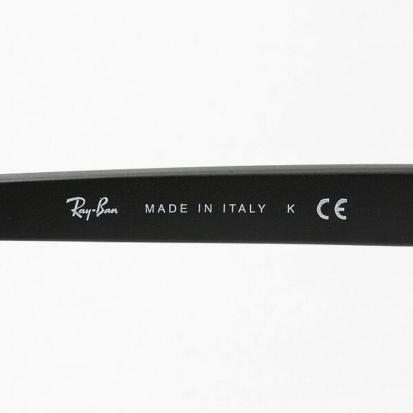 Ray-Ban サングラス(RB4440-N-F) Ray-Ban レイバン サングラス ウェイファーラー 国内正規品