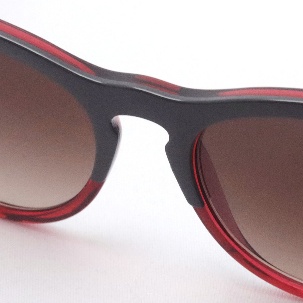 Ray Banサングラス Ray-Ban レイバン サングラス LARRY ラリー RB7680S 133371