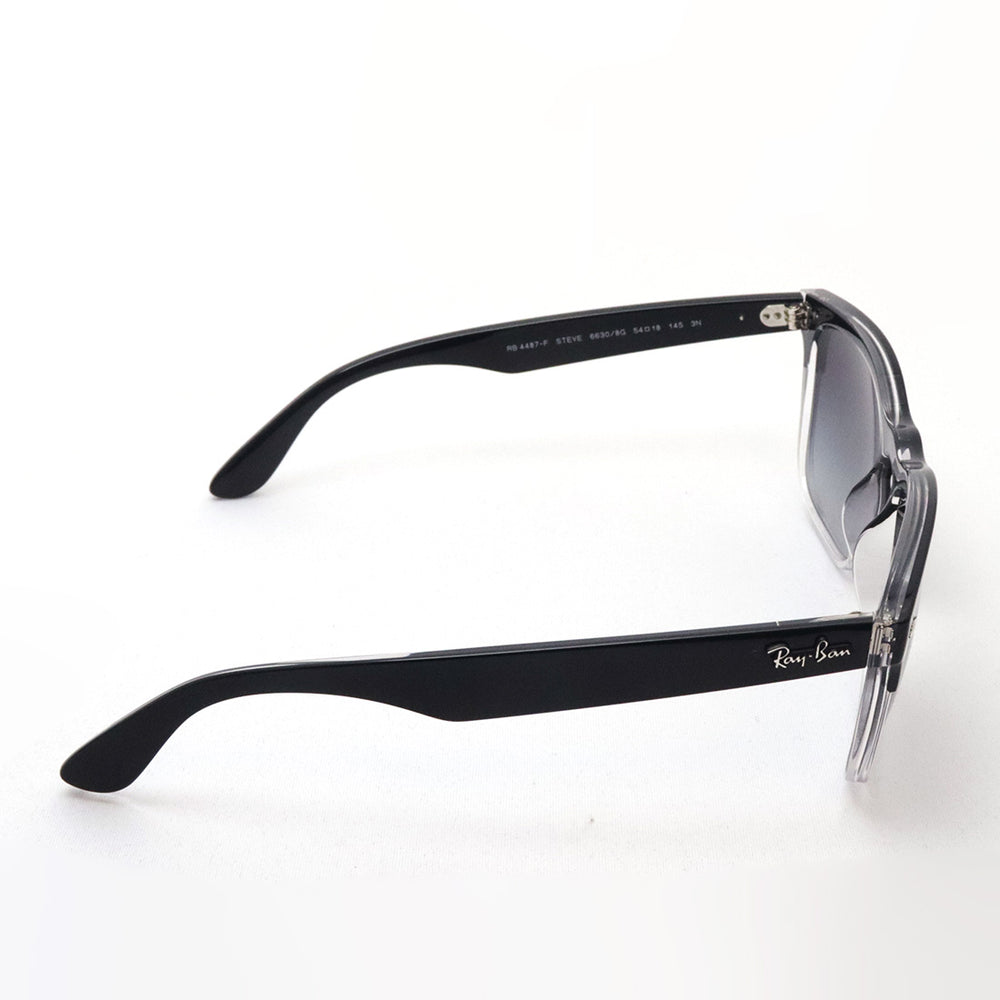 レイバン サングラス Ray-Ban RB4487F 66308G – GLASSMANIA