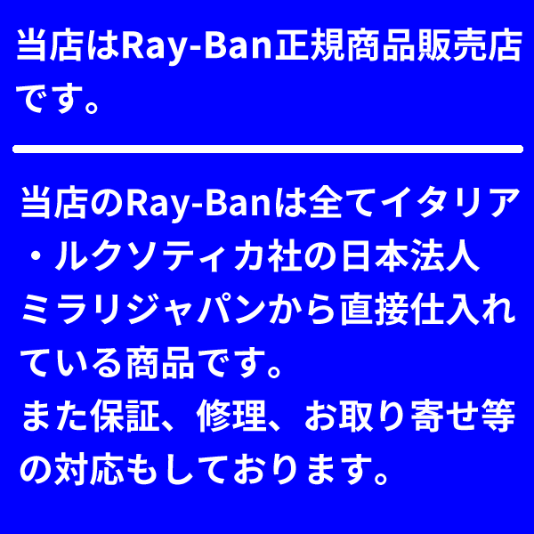 射线棕色太阳镜雷 - 篮板RB2027 6430B1捕食者2