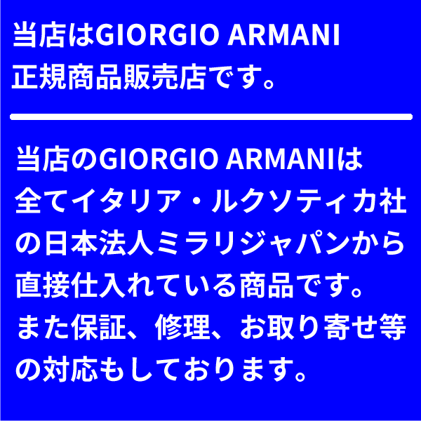 ジョルジオアルマーニ サングラス GIORGIO ARMANI AR6050 301480