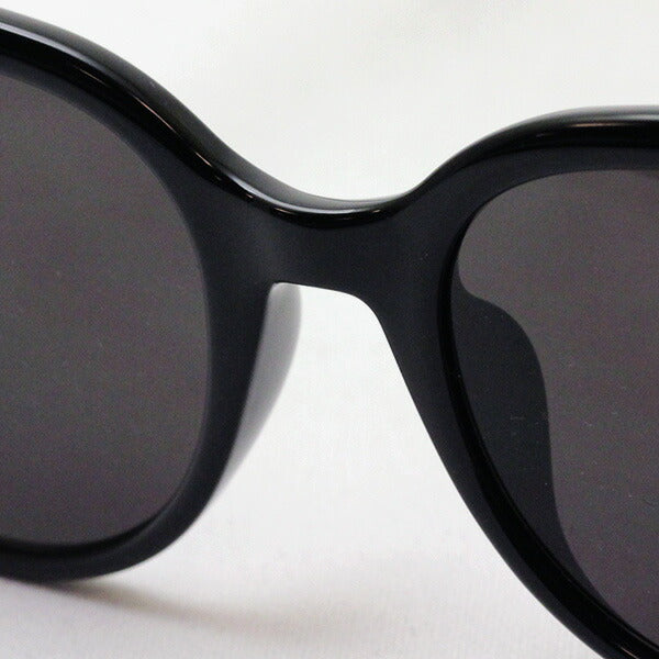 Saint Laurent Sunglasses Saint Laurent SL317F 001
