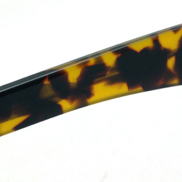 Saber Sunglasses Saber SS8-501T-J Shaver Chevelle