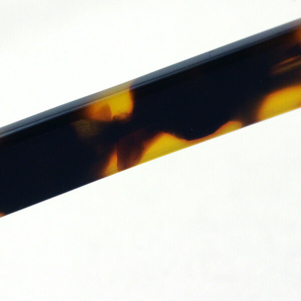Gafas de Sabre Saber SS8-502T-BC-J Duster Duster