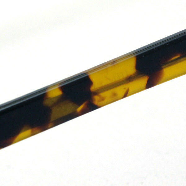 Saber Glasses SABRE SS8-502T-CL-J Duster Duster