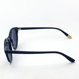 Saber Sunglasses SABRE SS8-510B-G-J Skylark SKYLARK