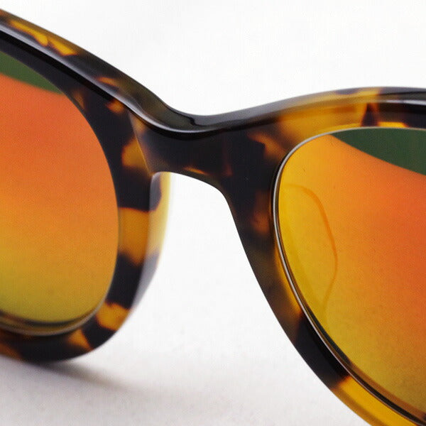 Gafas de sol Sabre Saber SS8-510T-H-J Skylark Skylark