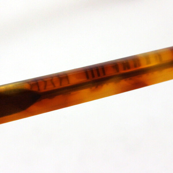 セイバー サングラス SABRE SS8-521LT-CG-J ボブキャット BOBCAT